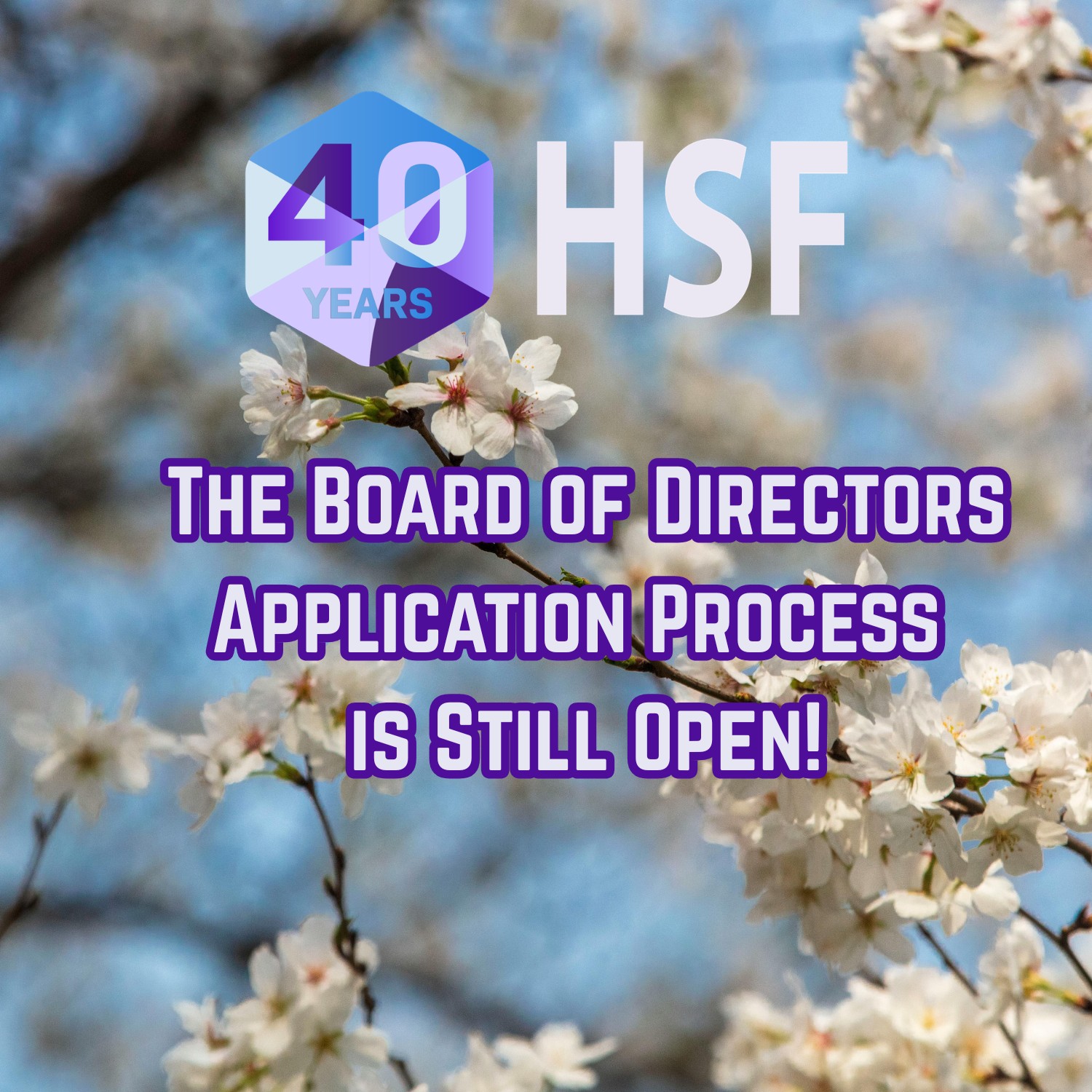 board application